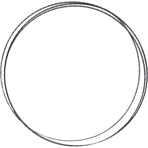 PP007A 1