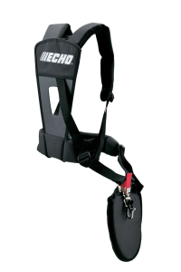 echoc062000184