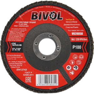 BVL29125P100 V02005B 1