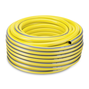 d1
