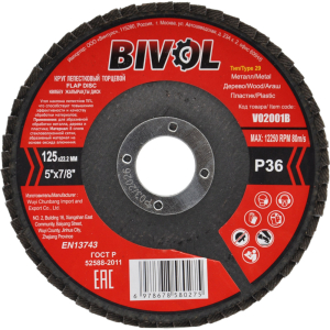 BVL29125P36 V02001B 1
