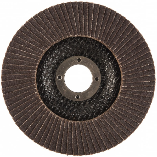 Диск лепестковый Cutop Profi 125*22.2  P100   70-125100