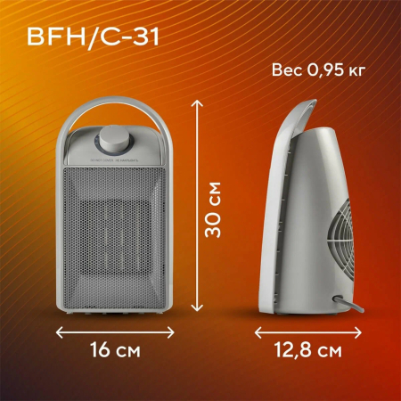 BFH С-31 9