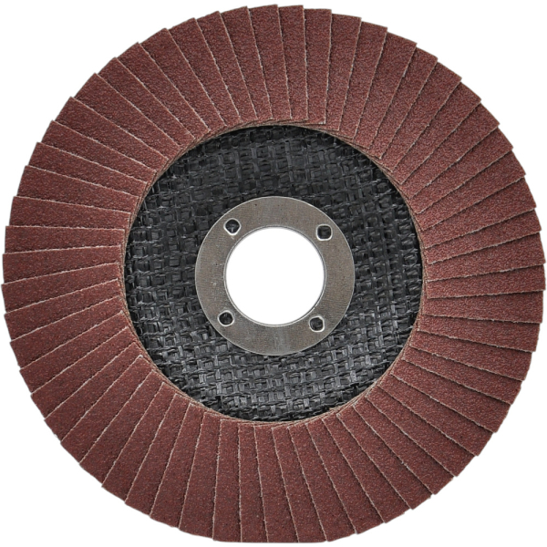 Диск лепестковый BIVOL 125x22.2мм Р100 торцевой   BVL29125P100 / V02005B