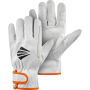 00000100660 5