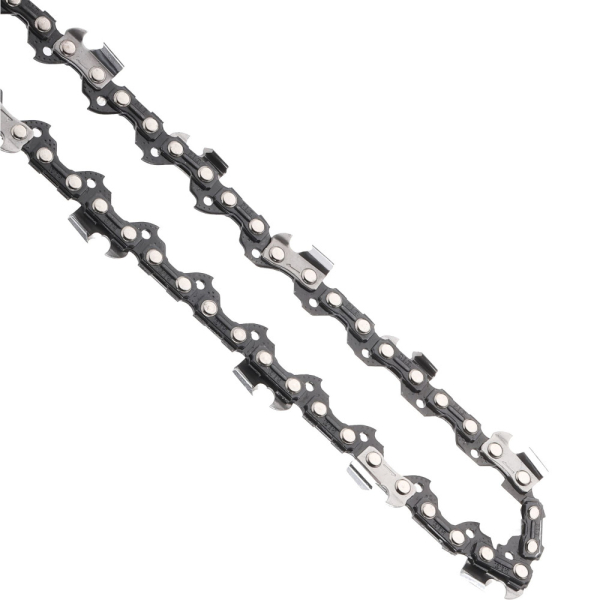 ASCH01-1564R (3)