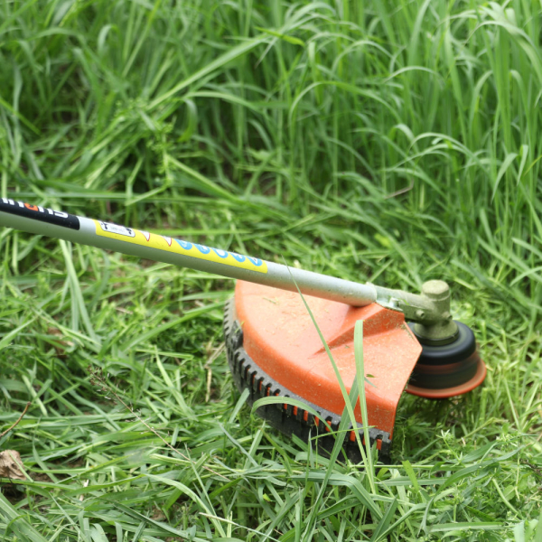 Бензокоса SURUI BH52 ранцевая