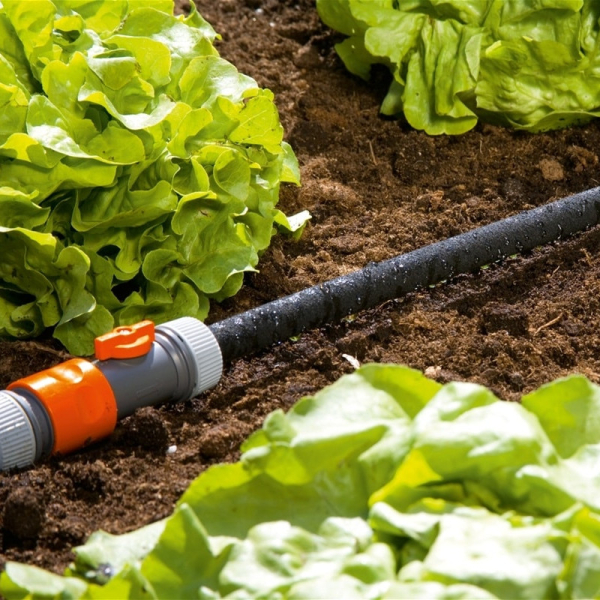 01969-20.000.00  (3)