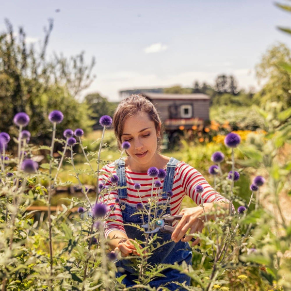 Секатор Gardena EcoLine   12210-20.000.00