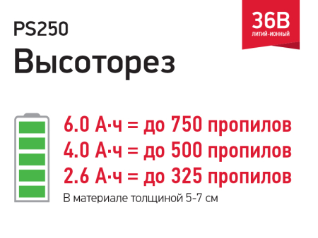 PS250 5