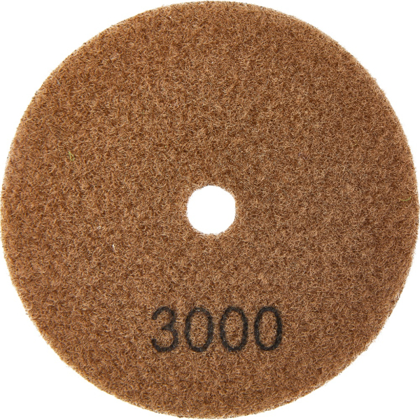 Диск алмазный ELITECH 100мм P3000 сухое шлифование   1820.161000