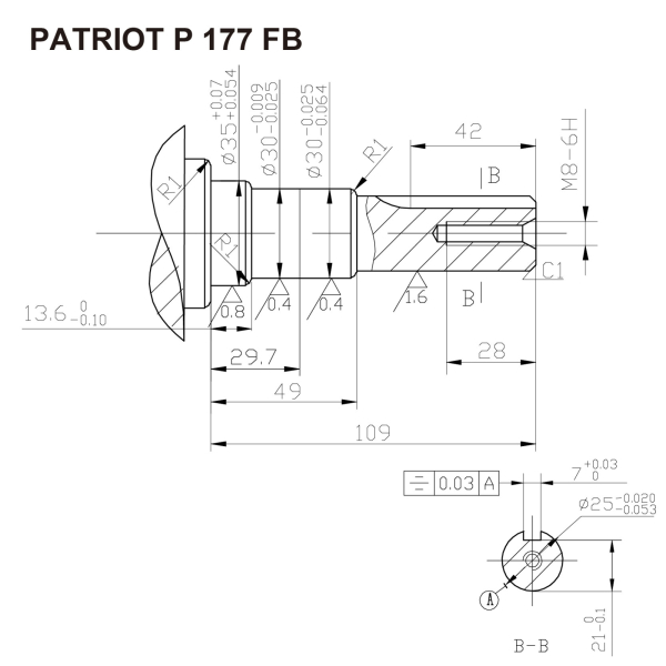 Двигатель Patriot Garden P 177FB