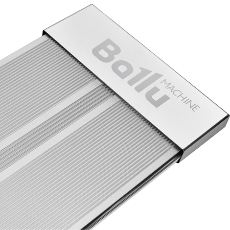 BIH-APL-1.0 4