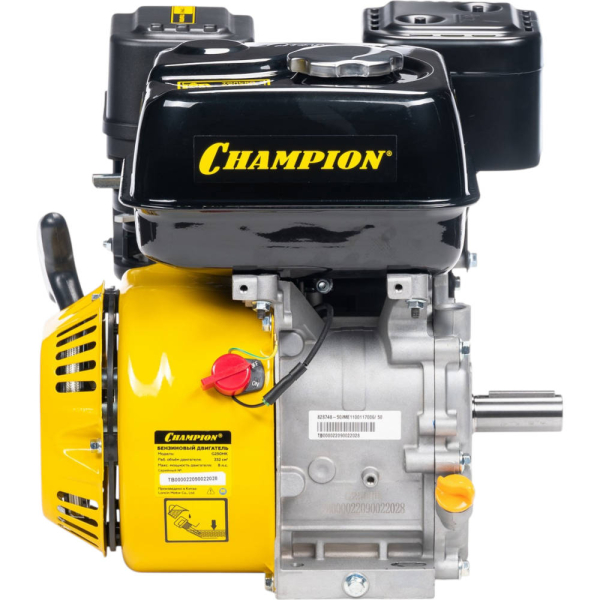 Двигатель CHAMPION G 250 HK